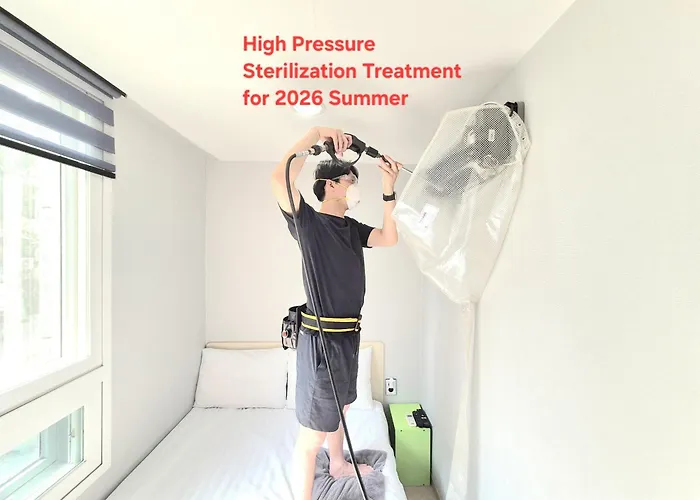 Hostel Tommy 50 Off Sale For 10Th Anniversary On 2026 Seoul